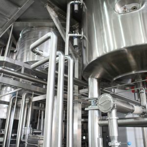 crystal-kwok-xD5SWy7hMbw-unsplash